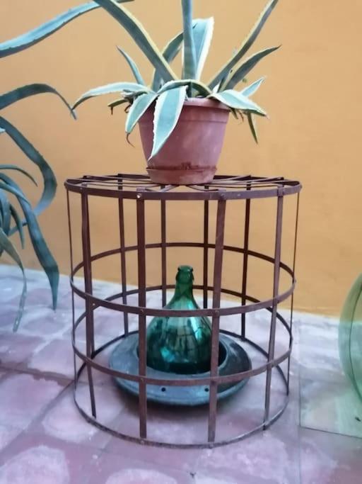 那不勒斯La Casa Di Mio Padre公寓 外观 照片